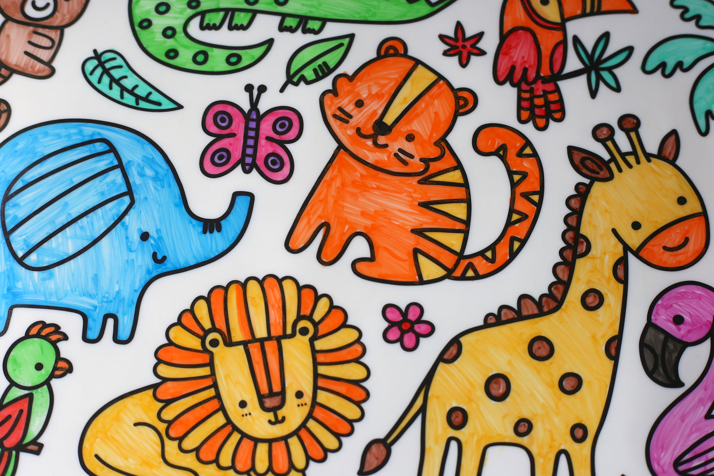 Silicone Reusable Colouring Mat with Pens