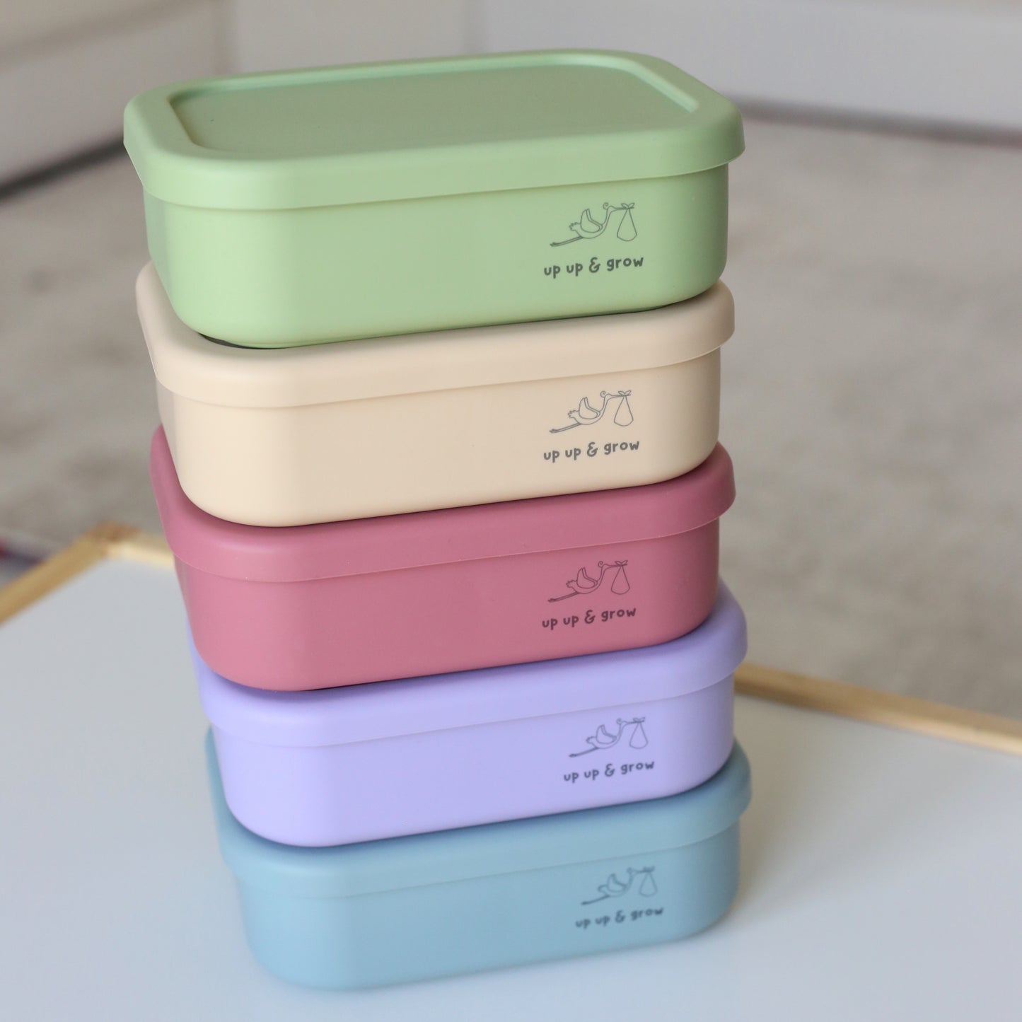 Silicone Bento Lunchbox