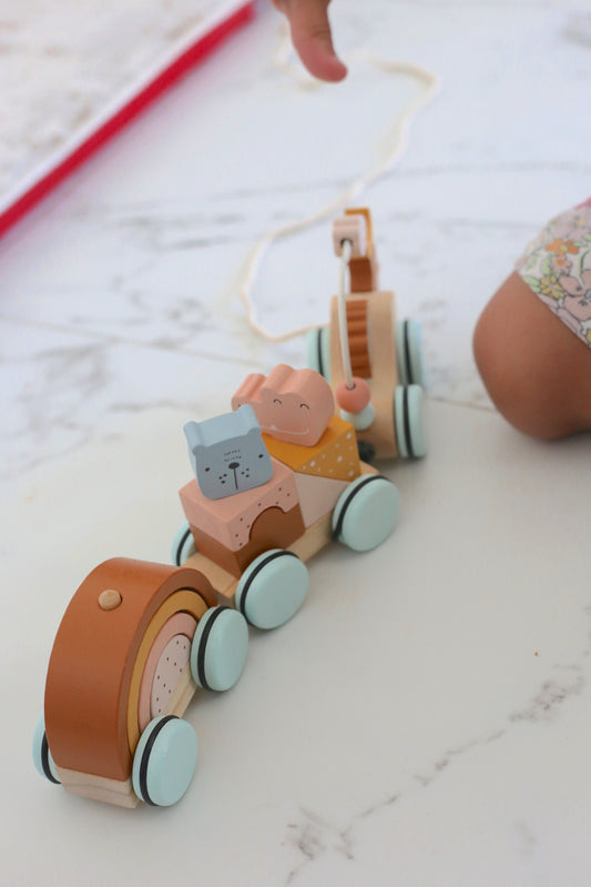 Pull & Play Animal Train