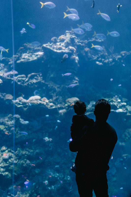 Our Favourite Things to Do in Abu Dhabi with Babies and Toddlers