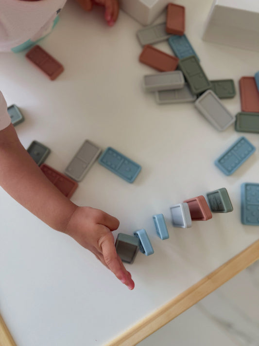 Silicone Domino Play Set