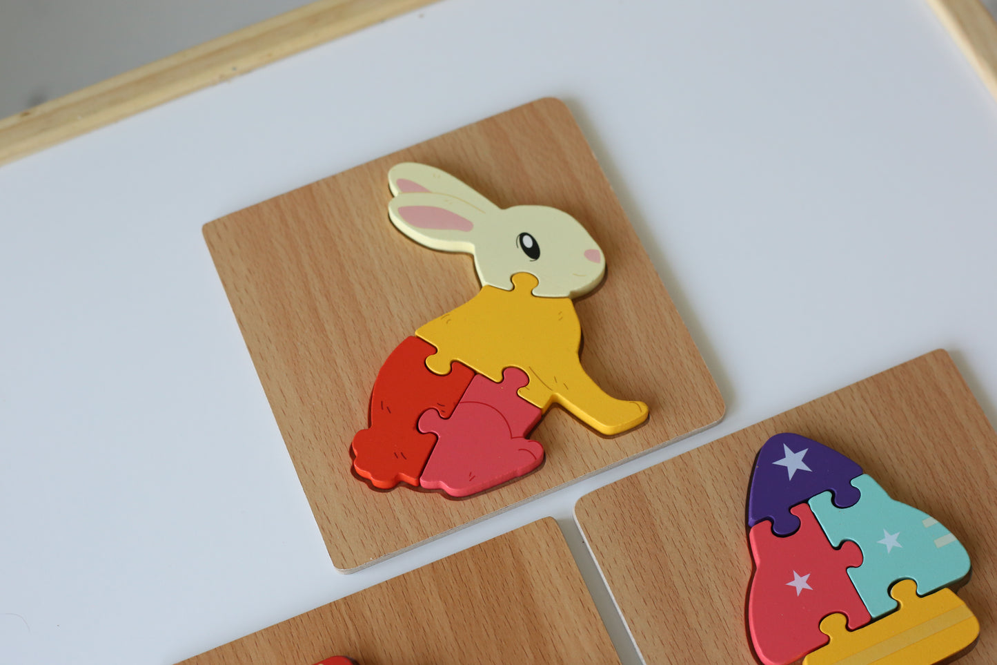 Early Learning Wooden Puzzles