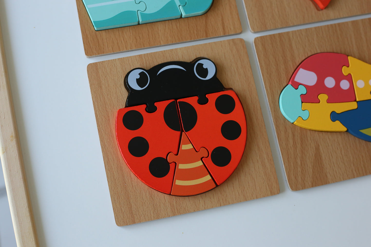 Early Learning Wooden Puzzles
