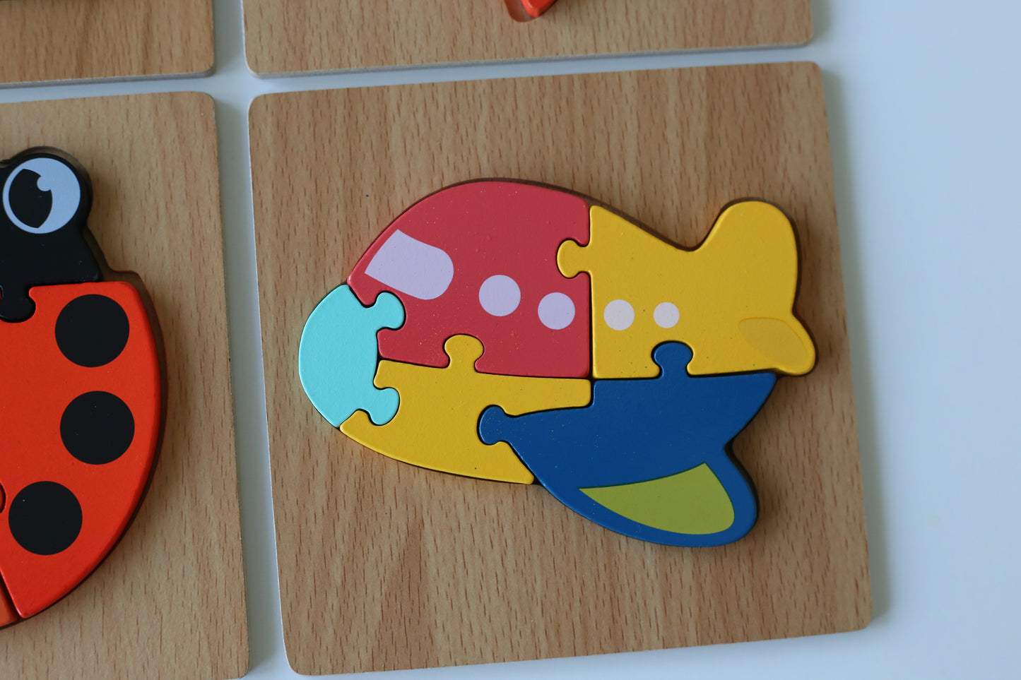 Early Learning Wooden Puzzles