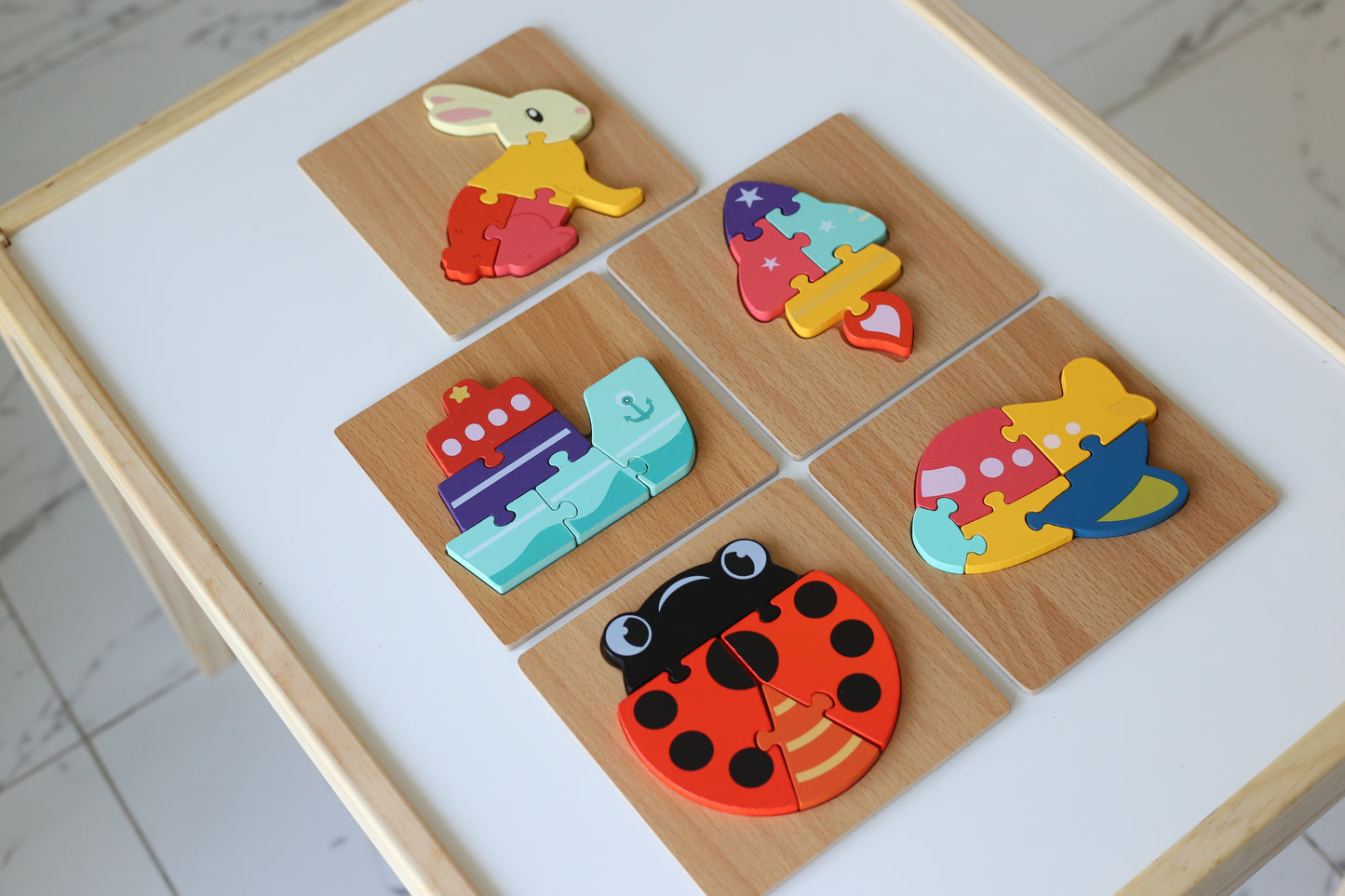 Early Learning Wooden Puzzles