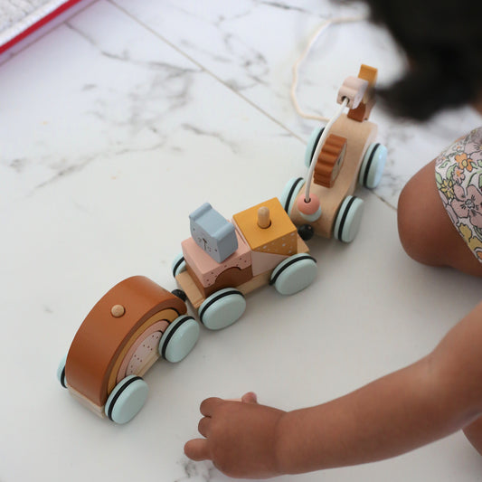 Pull & Play Animal Train