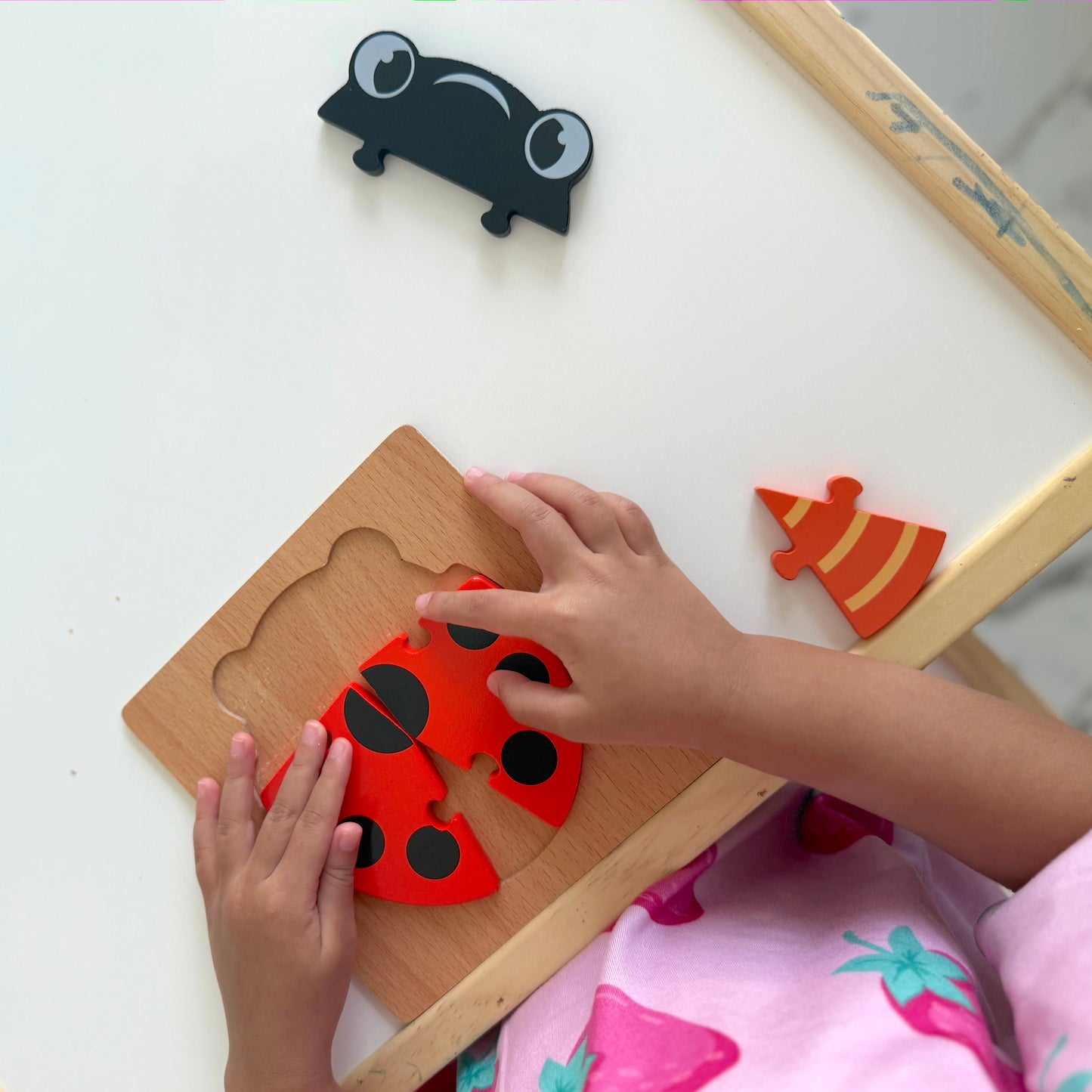Early Learning Wooden Puzzles